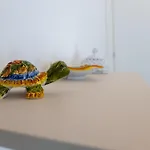 Casa Del Moro 招待所 圣斯特凡诺迪卡马斯特拉